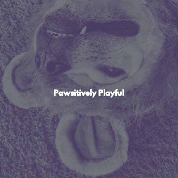 Pawsitively Playful - Klaviermusik