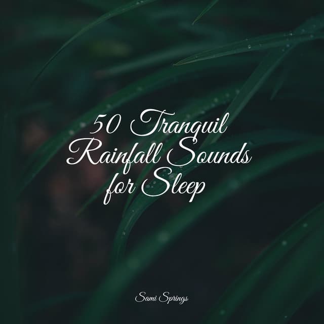 50 Tranquil Rainfall Sounds for Sleep - Thunder and Rain Storm