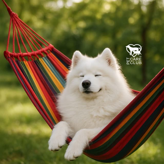 Happiness Looks Like This - Pet Care Club