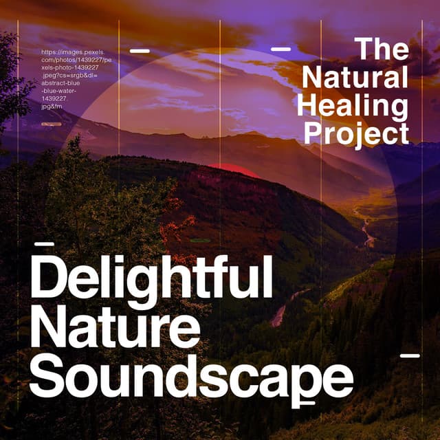 Delightful Nature Soundscape - The Natural Healing Project