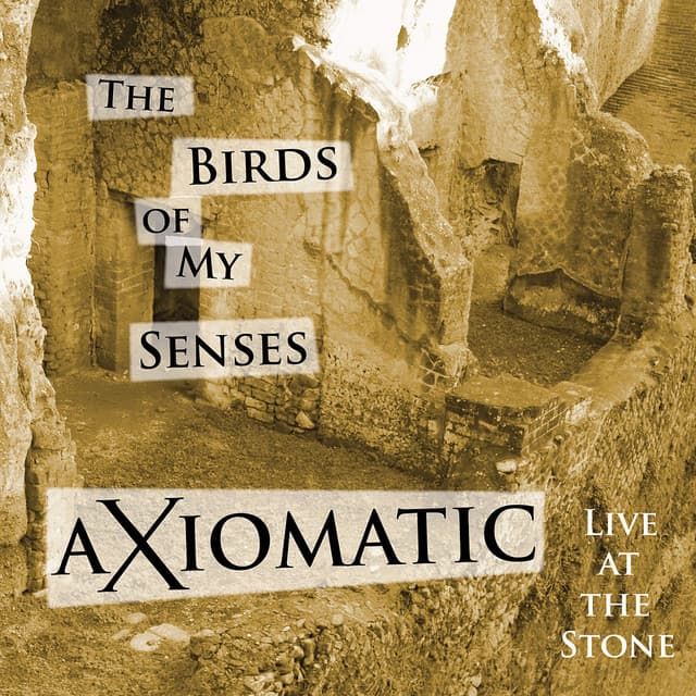 Axiomatic Live at the Stone - the Birds of My Senses - Robert Musso