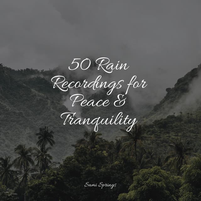 50 Rain Recordings for Peace & Tranquility - Rain Sounds & Nature Sounds
