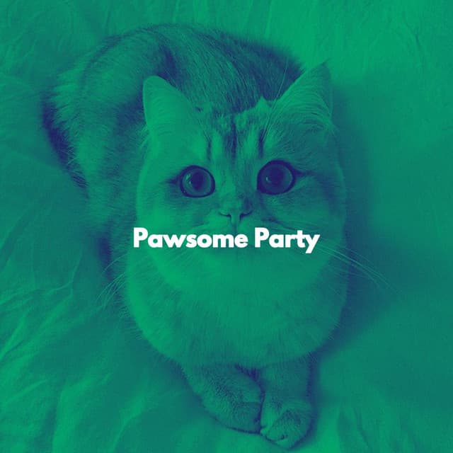 Pawsome Party - Calming Cat Music
