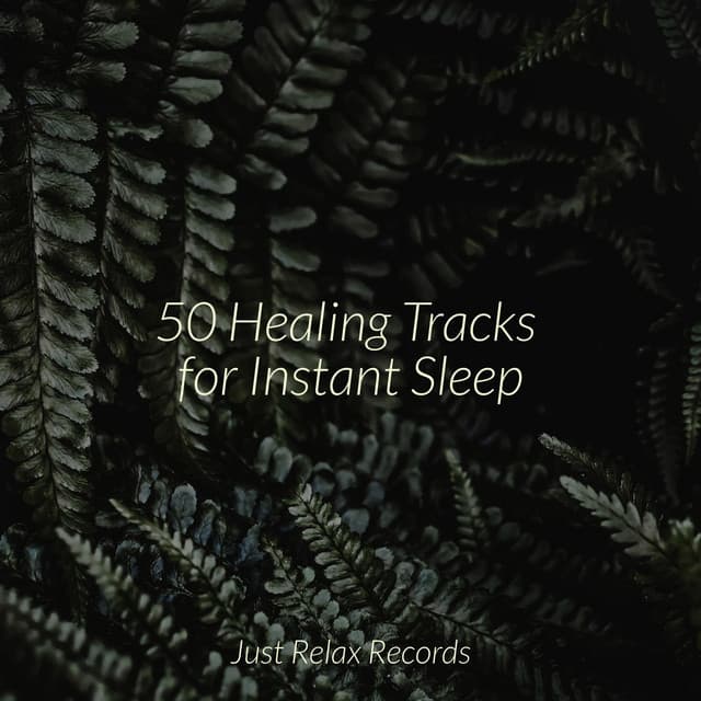 50 Healing Tracks for Instant Sleep - Shakuhachi Sakano