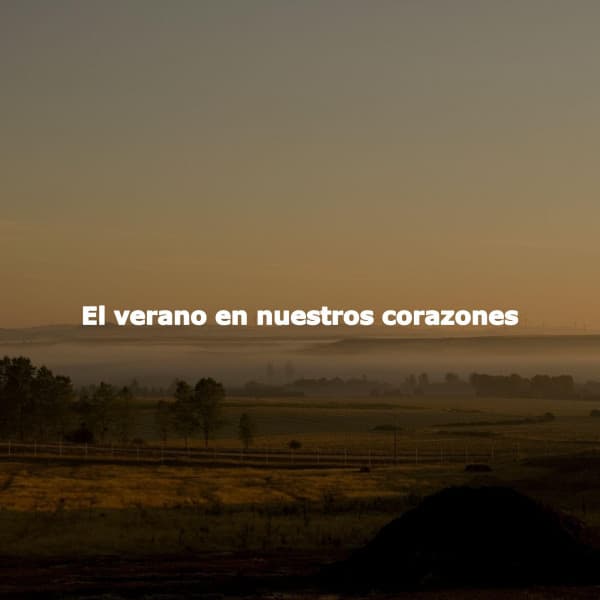 El verano en nuestros corazones - Classy Lounge Playlist