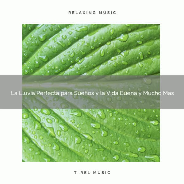 La Lluvia Perfecta para Sueños y la Vida Buena y Mucho Mas - Sonidos De Lluvia y Tormentas