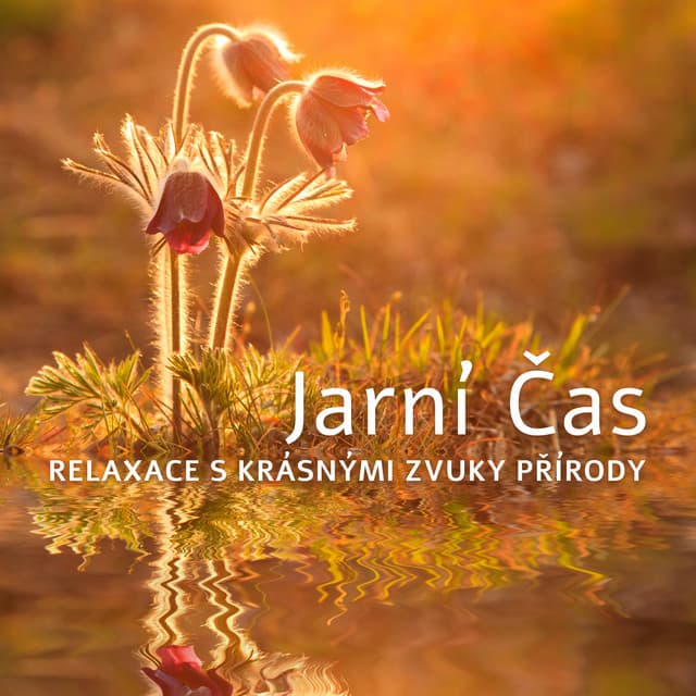 Jarní Čas: Relaxace s Krásnými Zvuky Přírody - Relaxační Zvuky