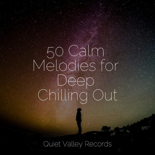 50 Calm Melodies for Deep Chilling Out - Shakuhachi Sakano