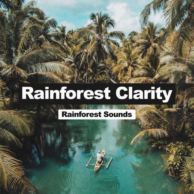 Rainforest Clarity - Rainforest Sounds