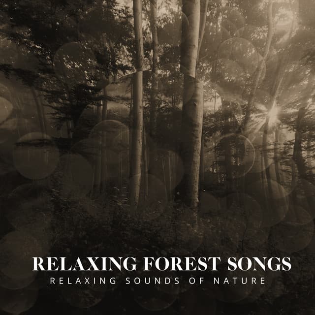 Relaxing Forest Songs - Relaxing Sounds Of Nature