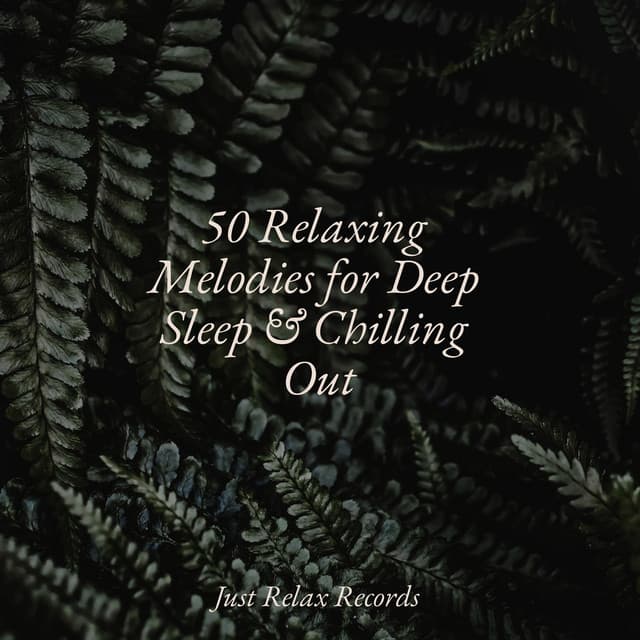 50 Relaxing Melodies for Deep Sleep & Chilling Out - Spa Relaxation & Spa