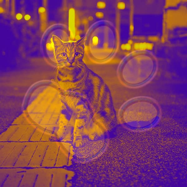 Majestic Quartet Jazz - Ambiance for Unwinding Cats - Calm Music for Cats