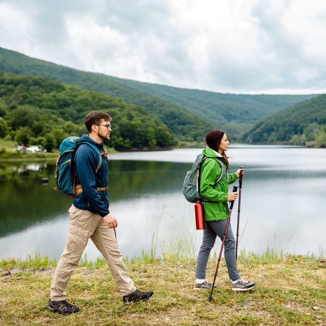 A Journey through Nature's Serene Heart - Morning Chill Playlist