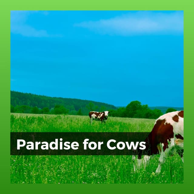 Paradise for Cows - The Forest Escape