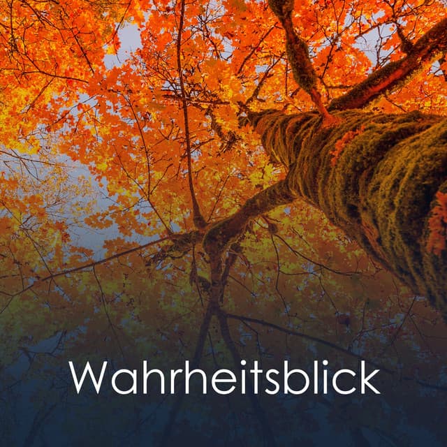 Wahrheitsblick - Max Entspannung