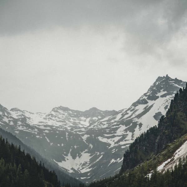 Music for Jazzy Favorites - Trumpet, Soprano Sax, Tenor Sax and Guitar - Working from Home Playlist