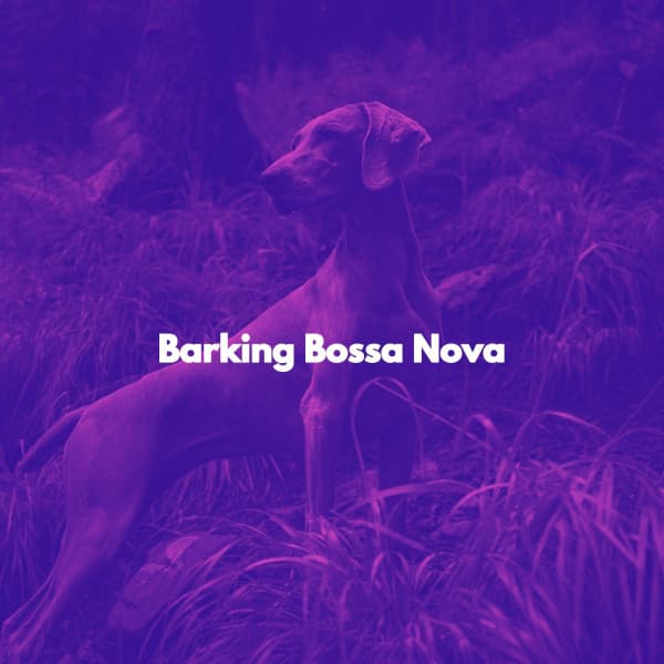 Barking Bossa Nova - Sunday Morning Music