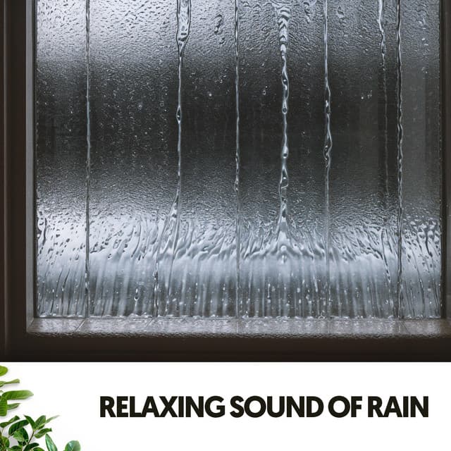 Study & Work Music: Melodies from the Storm - Dog Relaxation