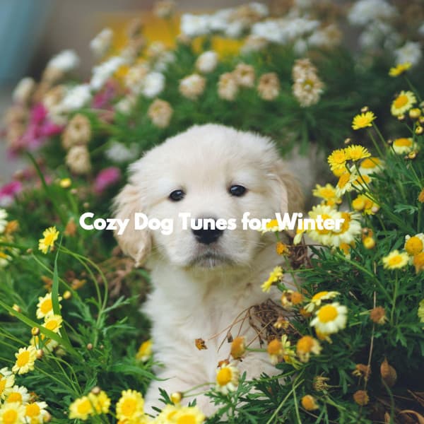 Cozy Dog Tunes for Winter - Good Mood Jazz
