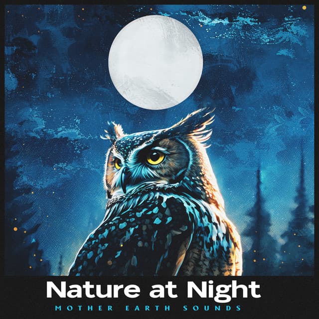 Nature at Night - Mother Earth Sounds
