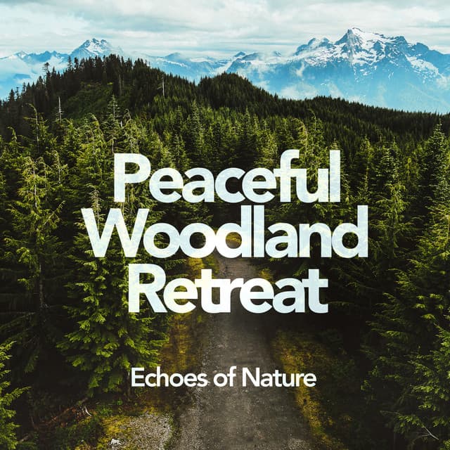 Peaceful Woodland Retreat - Echoes Of Nature