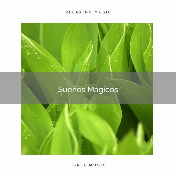 ! ! ! ! ! ! ! ! ! ! Sueños Mágicos - Música de la Naturaleza