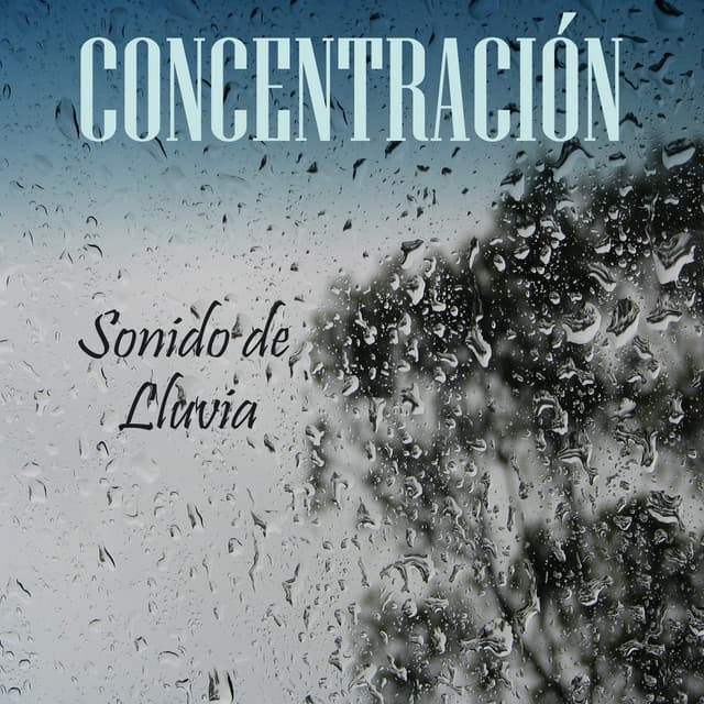 Concentración: Sonido de Lluvia - Musica Para Leer