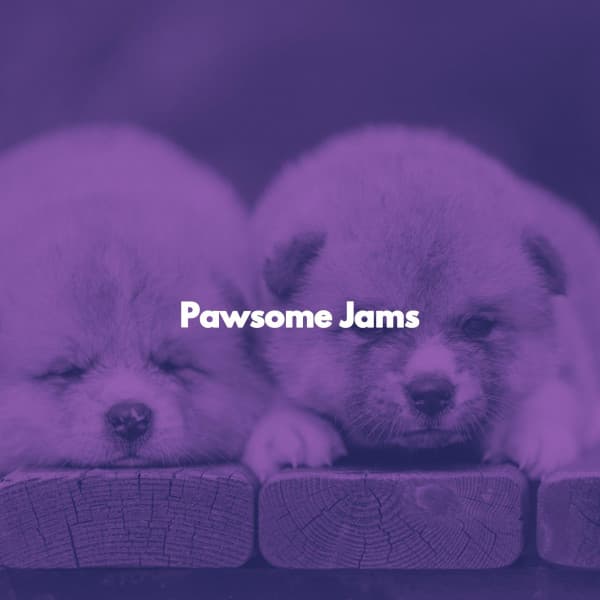 Pawsome Jams - Cool Jazz Relaxation