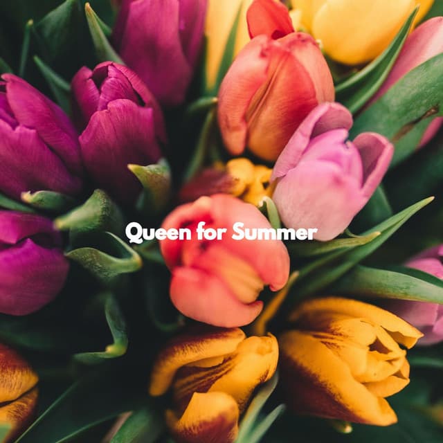 Queen for Summer - Coffee Shop Music Deluxe