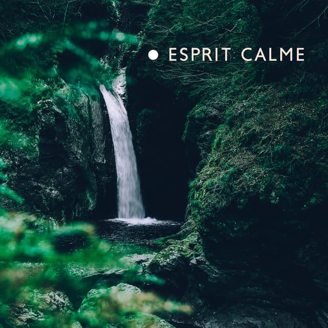 Esprit calme: Méditation quotidienne avec les sons de la nature, méthode de soulagement du stress - Zen Ambiance D'eau Calme