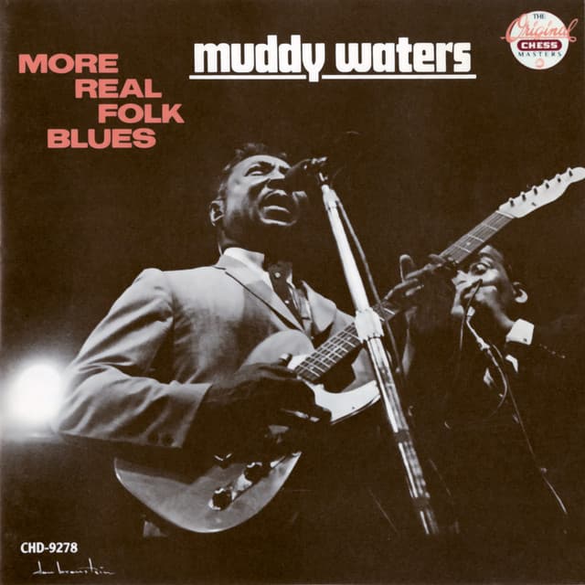 More Real Folk Blues - Muddy Waters