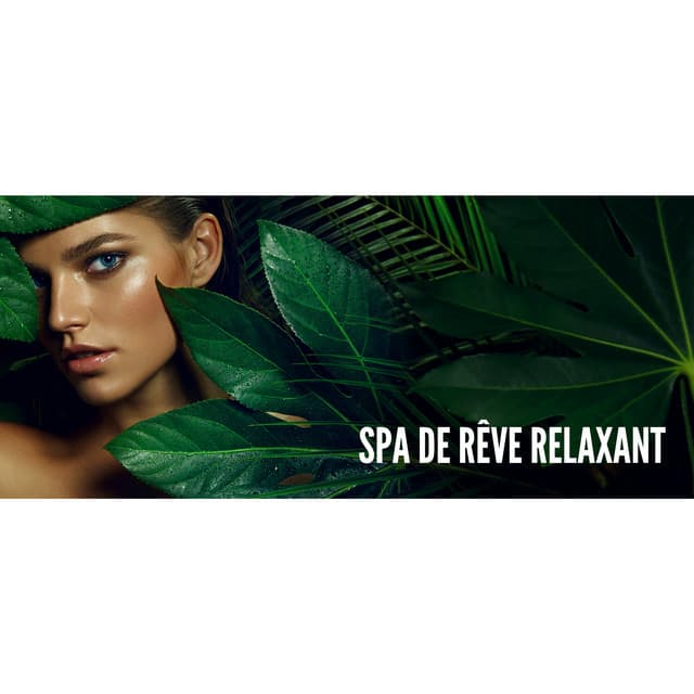 Spa de rêve relaxant - Pierre Rotween