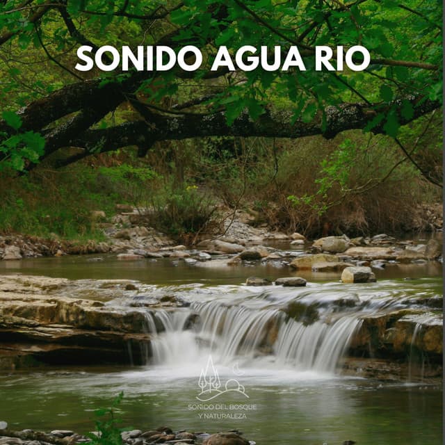Sonido Agua Rio - Sonido Del Bosque y Naturaleza