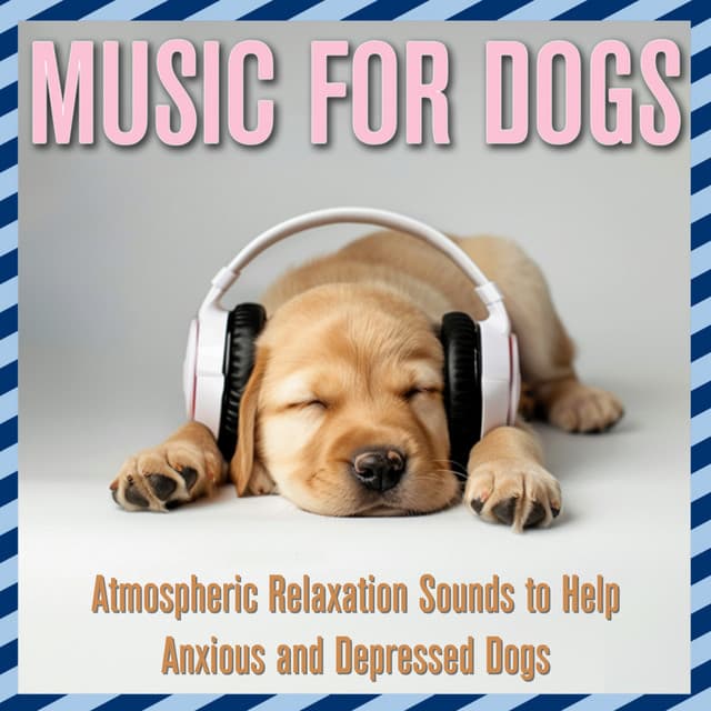 Music for Dogs: Atmospheric Relaxation Sounds to Help Anxious and Depressed Dogs - Relaxmydog