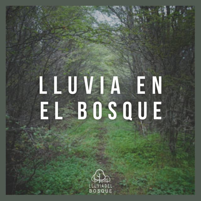 Lluvia en el Bosque - Lluvia Del Bosque