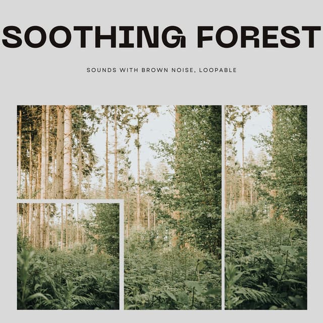 Soothing Forest Sounds with Brown Noise, Loopable - Brown Noise Warriors