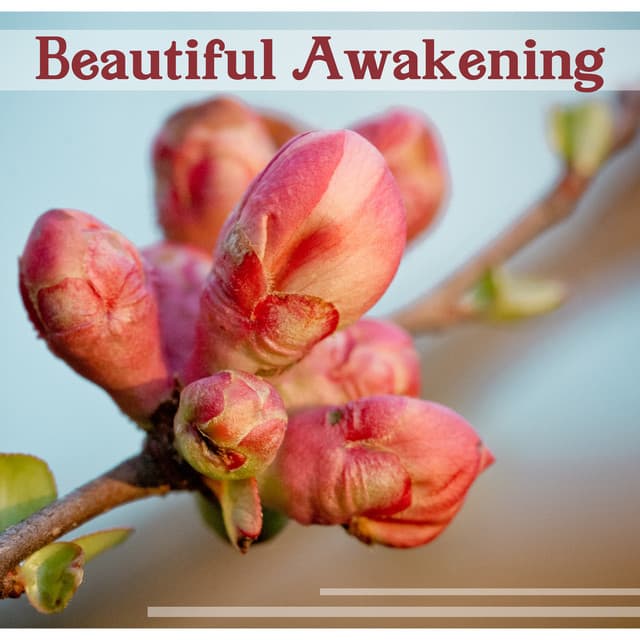 Beautiful Awakening: Relaxing Moments, Healing Meditation & Yoga Time, Stress Relief Music, Deep Massage - Healing Touch Zone