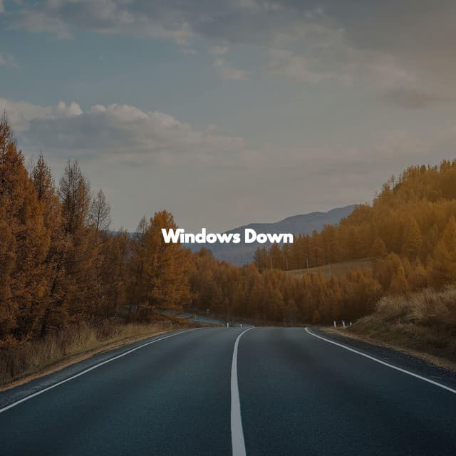 Windows Down - Jazz Café Bar