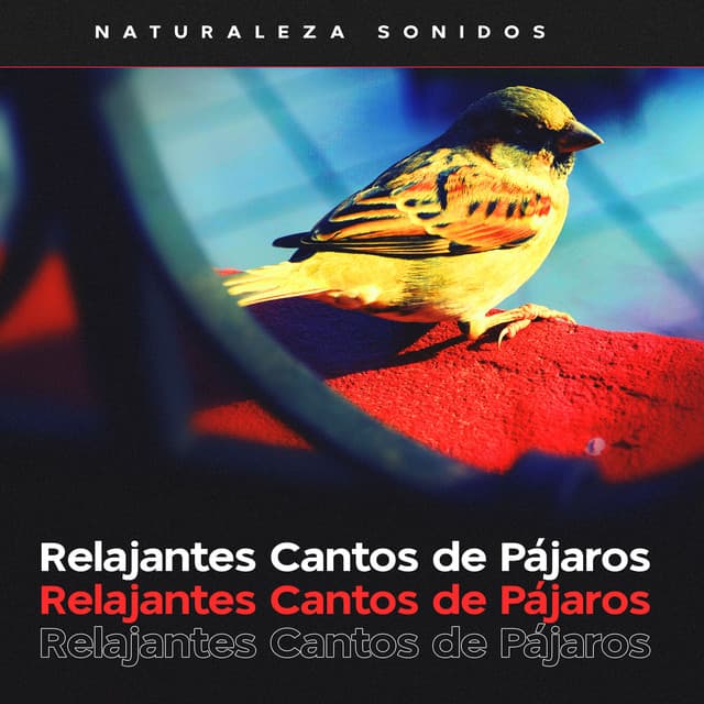 Relajantes Cantos de Pájaros - Naturaleza Sonidos