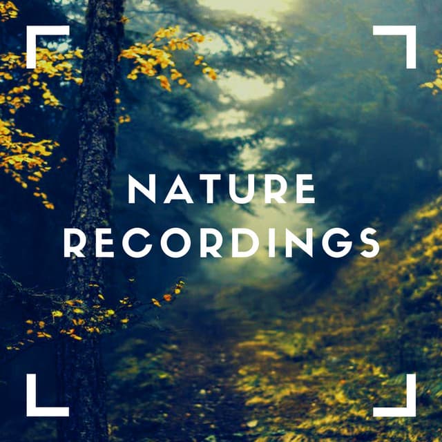 Clean Mountain Rain - Natural Sample Makers