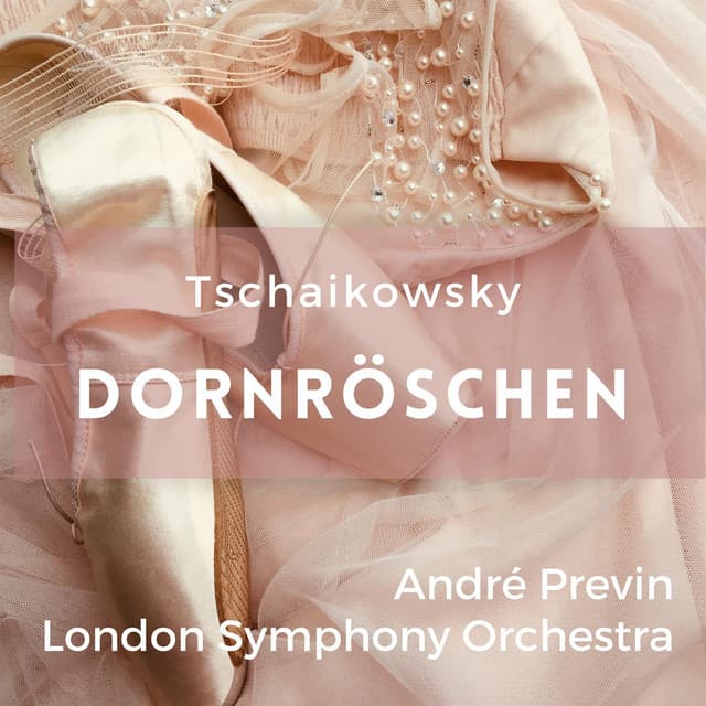 Peter Tschaikowsky: Dornröschen - Pyotr Ilyich Tchaikovsky