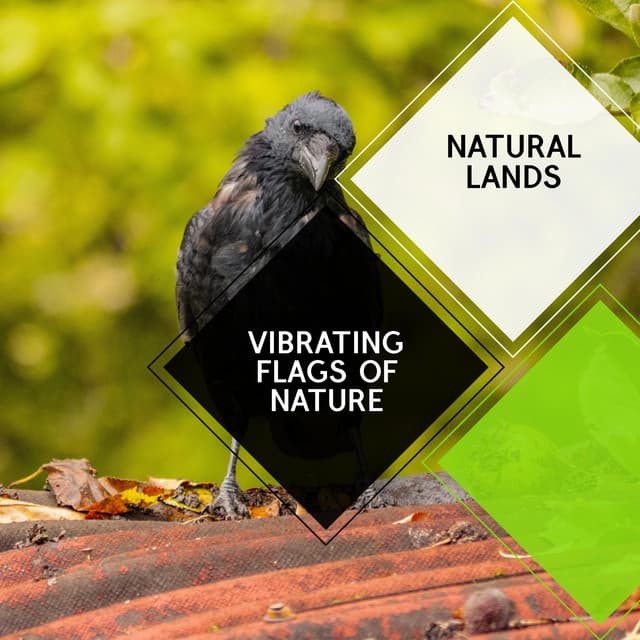 Vibrating Flags of Nature - Natural Lands - Sleepy Times