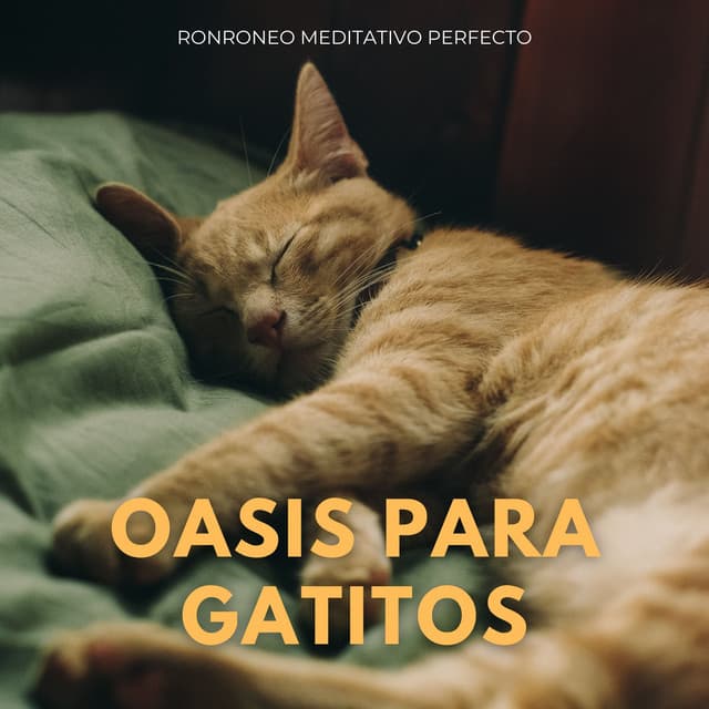 Oasis Para Gatitos: Ronroneo Meditativo Perfecto - Desastres naturales