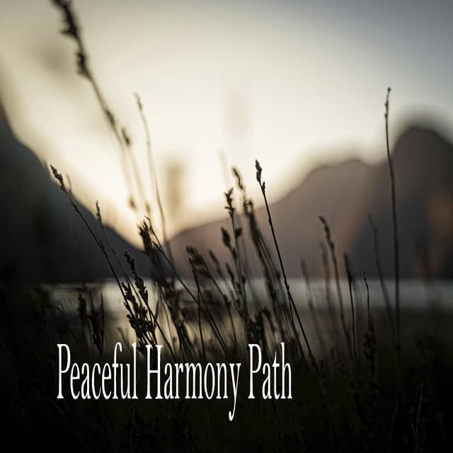 Peaceful Harmony Path - Música Relajante