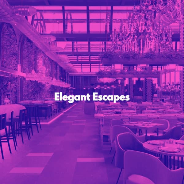 Elegant Escapes - Luxury Restaurant Music