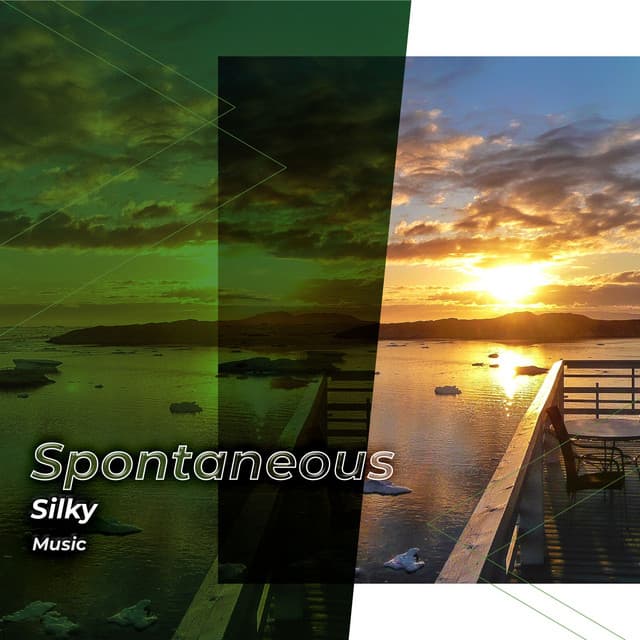 zZz Spontaneous Silky Music zZz - Palm Analogue