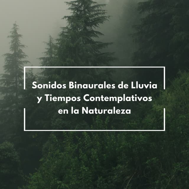 Sonidos Binaurales De Lluvia Y Tiempos Contemplativos En La Naturaleza - Ritmos binaurales Estudiar música