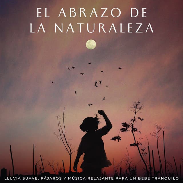 El Abrazo De La Naturaleza: Lluvia Suave, Pájaros Y Música Relajante Para Un Bebé Tranquilo - Deja que llueva