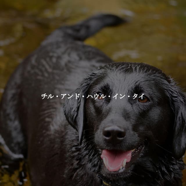 チル・アンド・ハウル・イン・タイ - Rio Bossa Nova Quartet