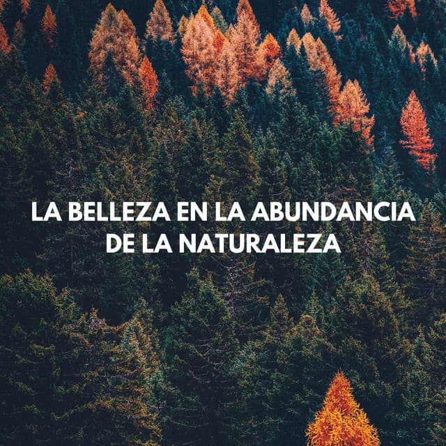 La Belleza En La Abundancia De La Naturaleza - Sonidos épicos de la naturaleza